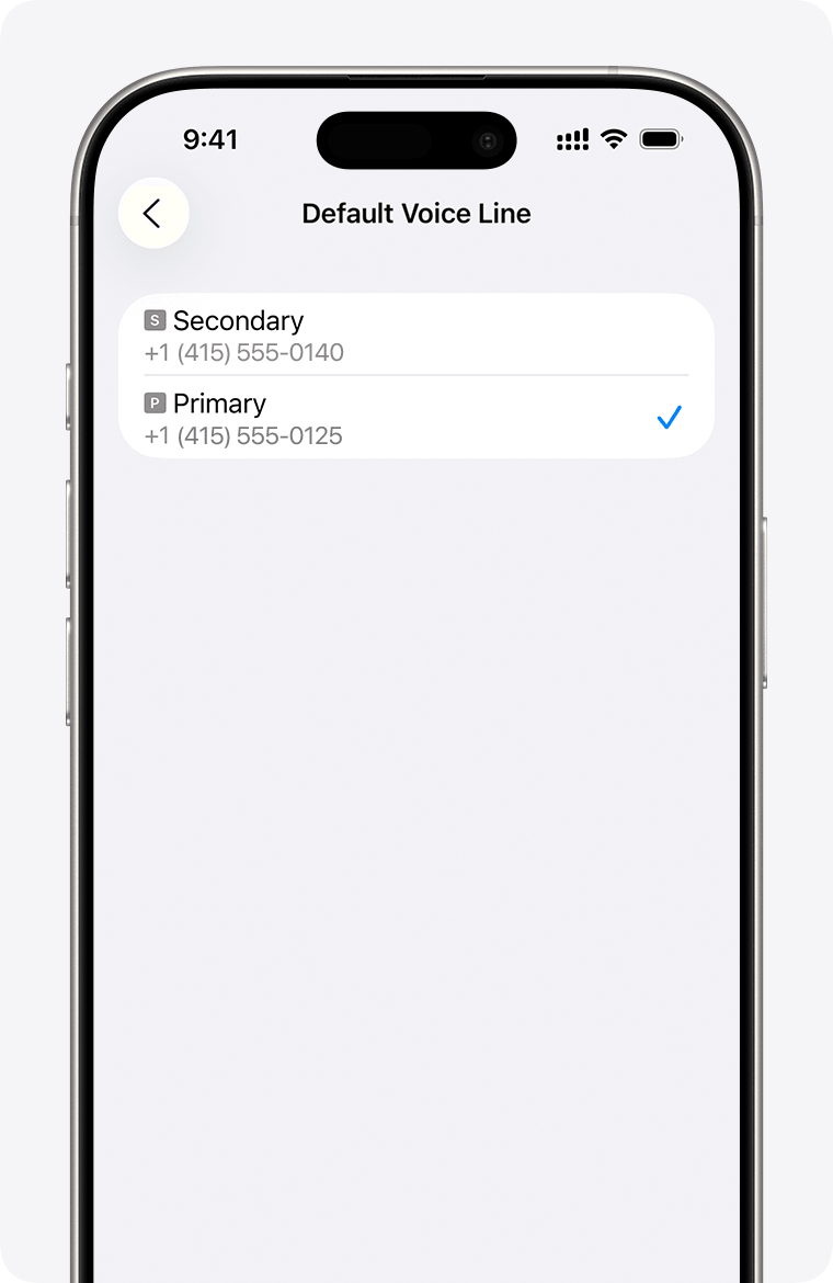 Neuen Tarif bestätigen — iPhone line confirmation screen