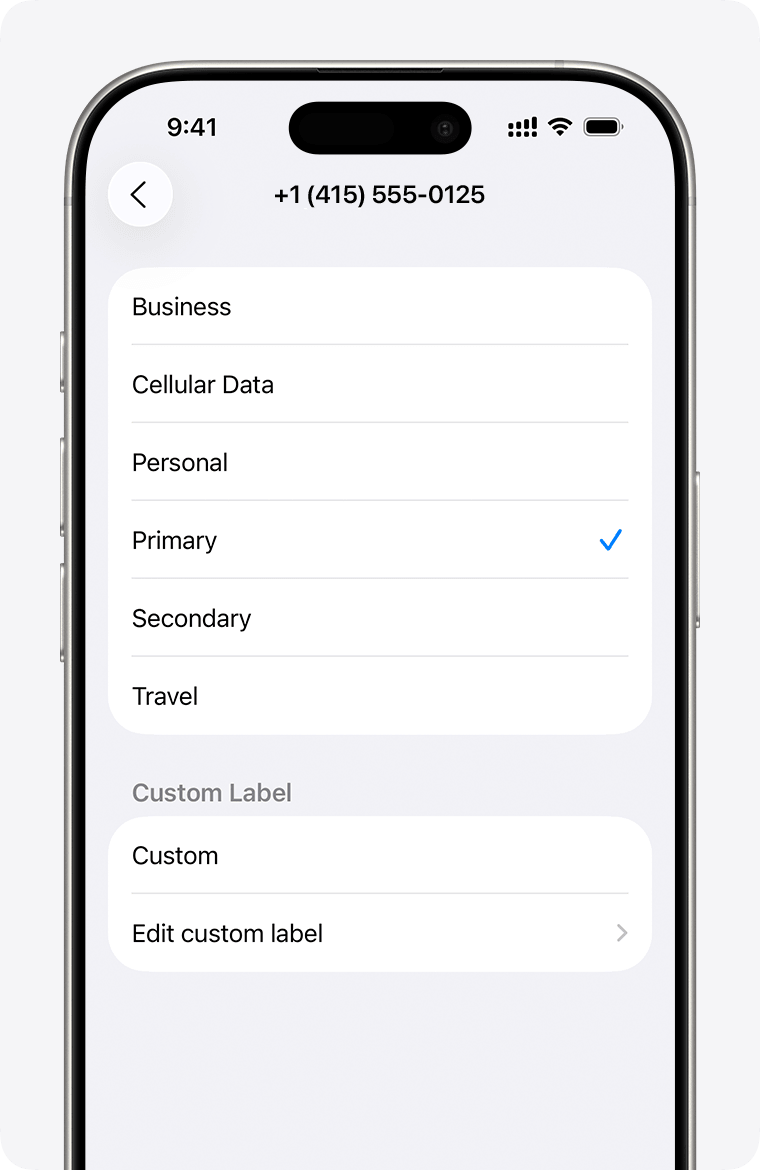 Leitung benennen — iPhone cellular plan labels